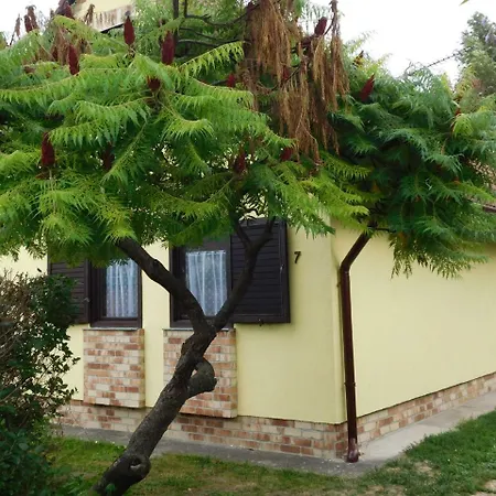 Holiday In Agard/velence-see 34926 Tatil Evi